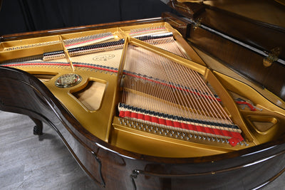 Petrof Mark IV Parlor Grand Piano