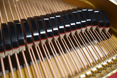 Petrof Mark IV Parlor Grand Piano