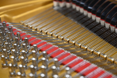 Petrof Mark IV Parlor Grand Piano