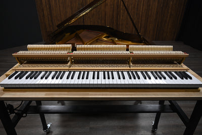 Petrof Mark IV Parlor Grand Piano