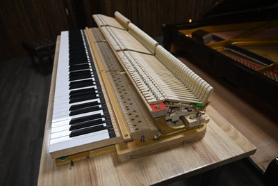 Petrof Mark IV Parlor Grand Piano