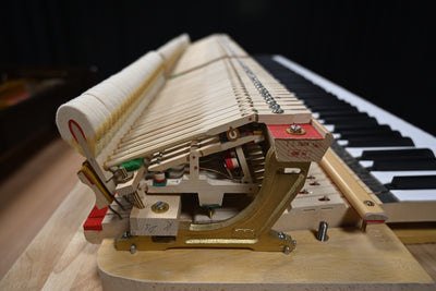 Petrof Mark IV Parlor Grand Piano