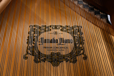 Yamaha C3 Grand Piano
