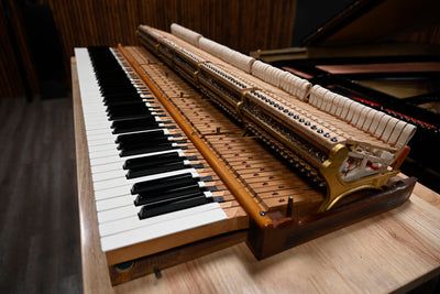 Steinway & Sons M Parlor Grand Piano