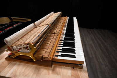 Steinway & Sons M Parlor Grand Piano