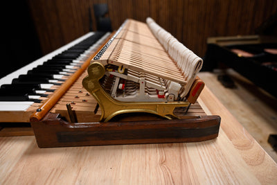 Steinway & Sons M Parlor Grand Piano