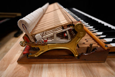 Steinway & Sons M Parlor Grand Piano