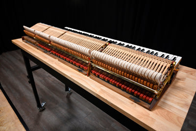 Steinway & Sons M Parlor Grand Piano