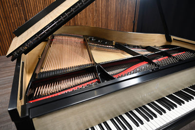 Steinway & Sons M Parlor Grand Piano