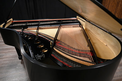 Steinway & Sons M Parlor Grand Piano
