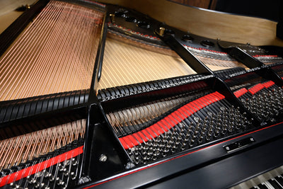 Steinway & Sons M Parlor Grand Piano