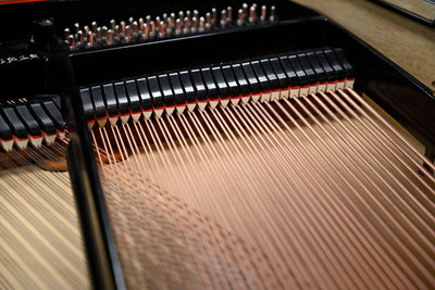 Steinway & Sons M Parlor Grand Piano