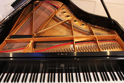 Steinway & Sons B Grand Piano