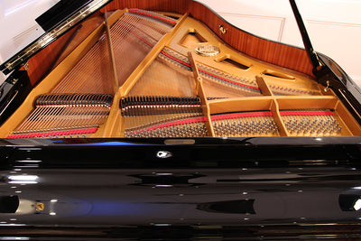 Petrof III Grand Piano