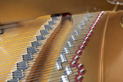 Schafer & Sons Grand Piano