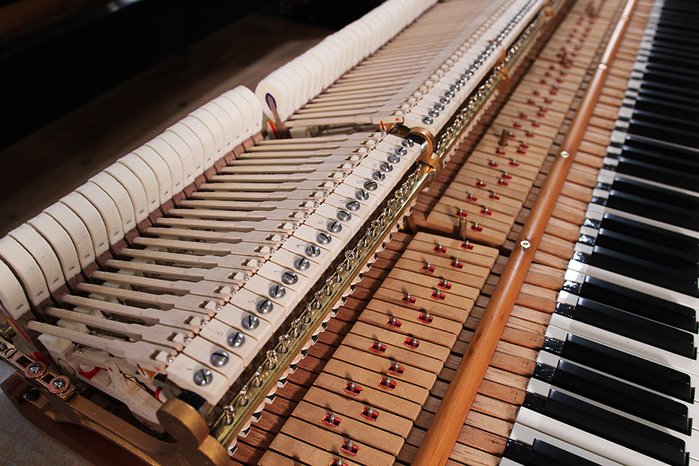 Steinway & Sons M Parlor Grand Piano