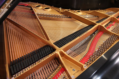 Steinway & Sons M Parlor Grand Piano