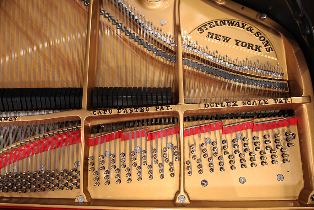 Steinway & Sons M Parlor Grand Piano