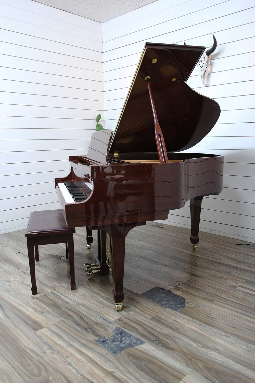 Essex EGP155 Baby Grand Piano