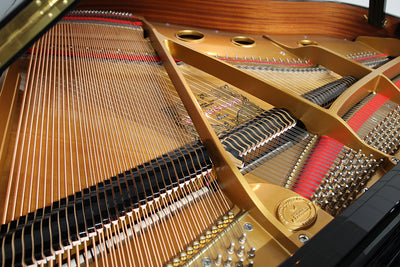 Kohler & Campbell SKG-500S Baby Grand Piano