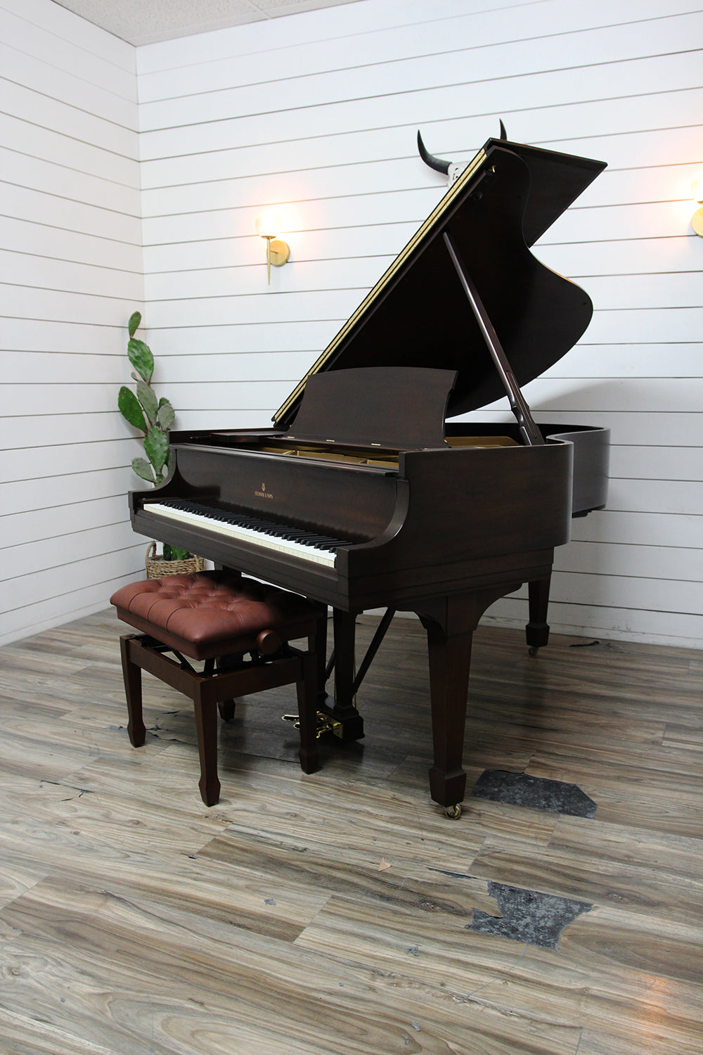 Steinway & Sons M Parlor Grand Piano