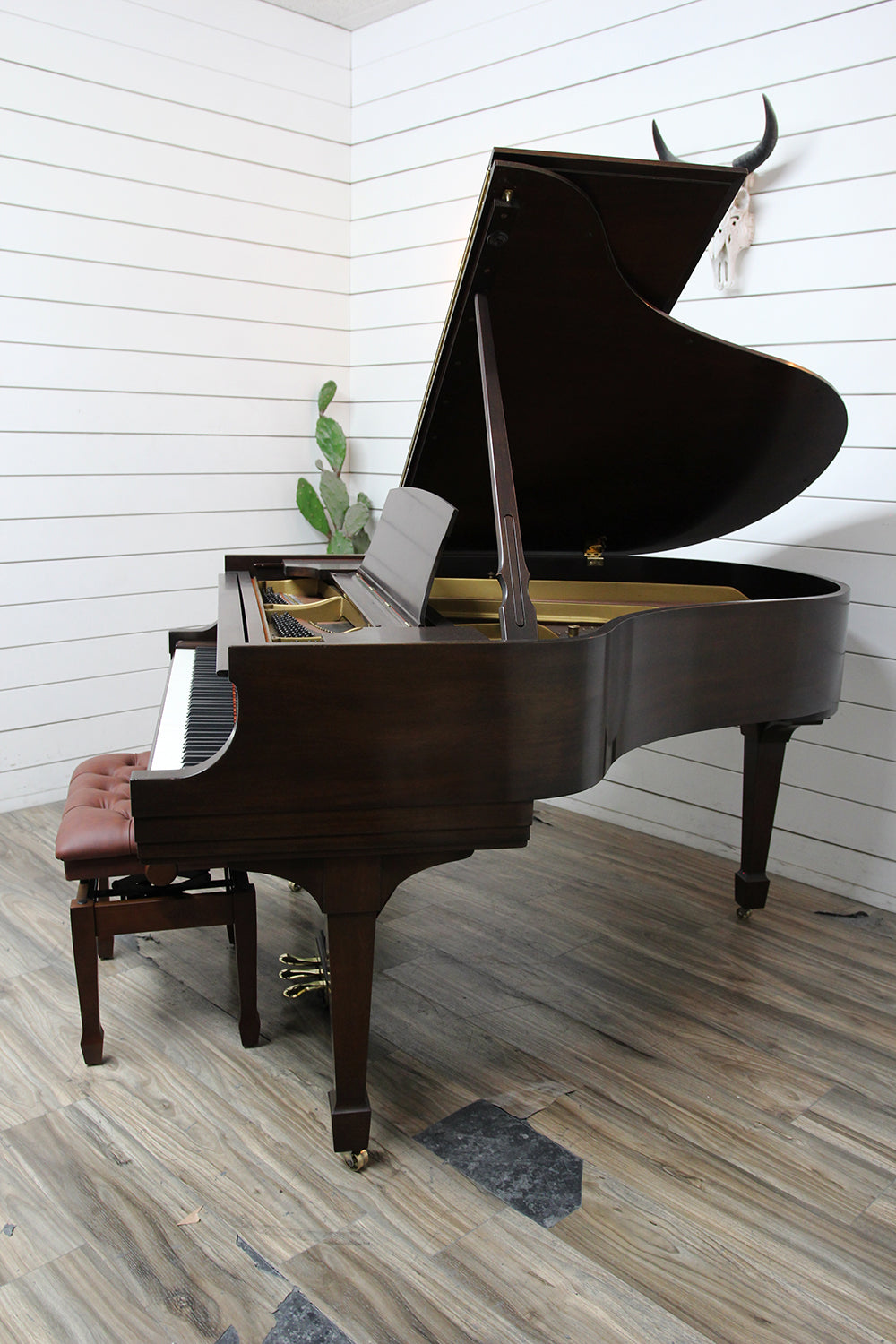 Steinway & Sons M Parlor Grand Piano