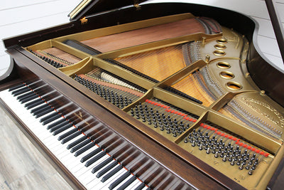 Steinway & Sons M Parlor Grand Piano