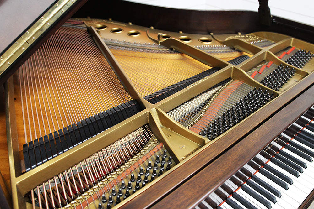 Steinway & Sons M Parlor Grand Piano