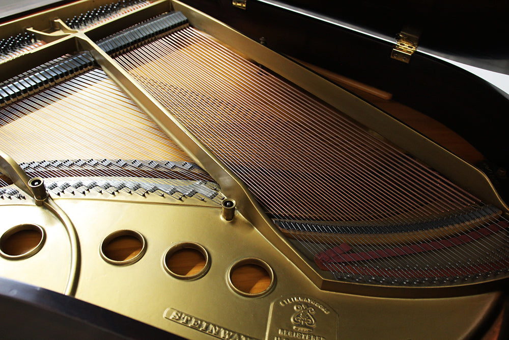 Steinway & Sons M Parlor Grand Piano