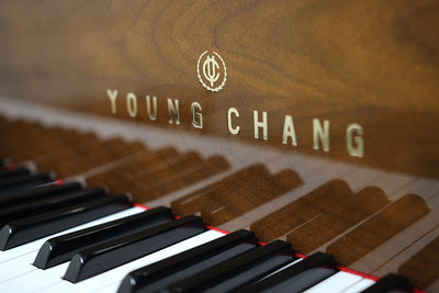 Young Chang G175 Parlor Grand Piano