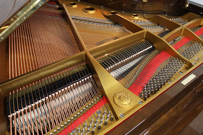 Young Chang G175 Parlor Grand Piano