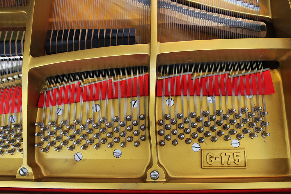 Young Chang G175 Parlor Grand Piano