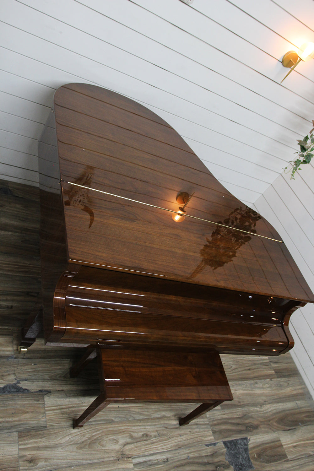 Young Chang G175 Parlor Grand Piano