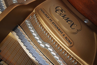 Essex EGP170 Parlor Grand Piano