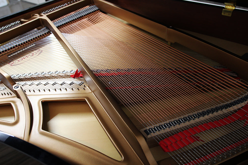 Essex EGP170 Parlor Grand Piano