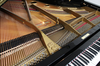 Schafer & Sons SS-58 Parlor Grand Piano