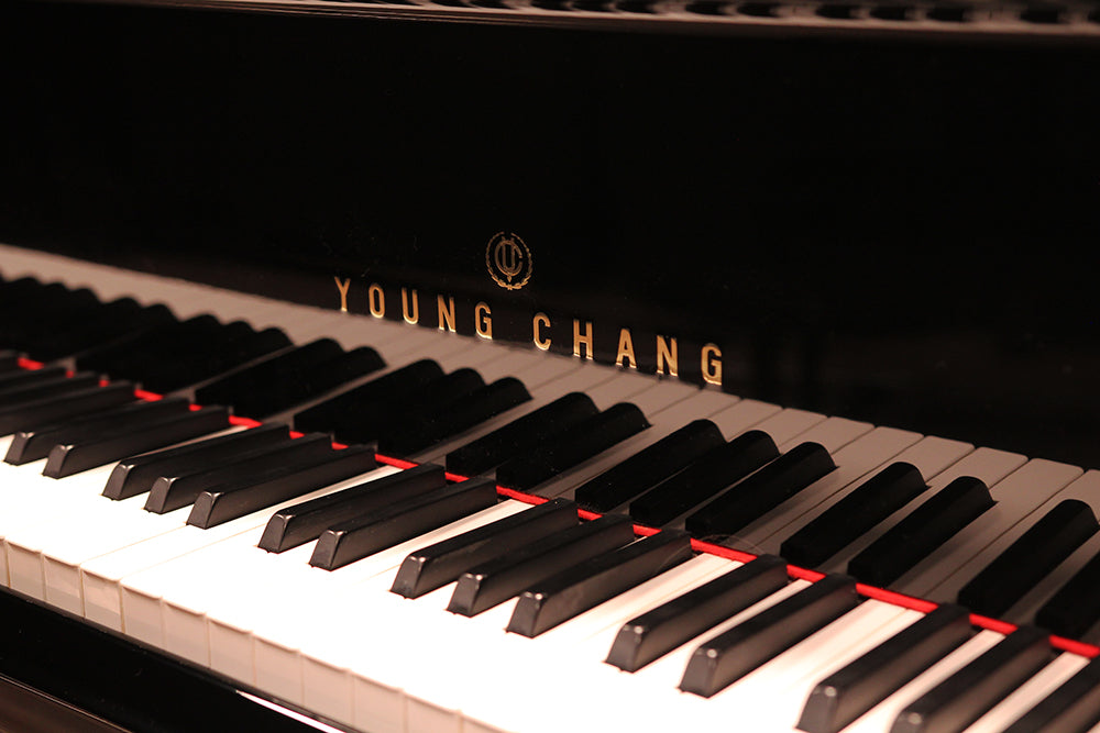 Young Chang G175 Parlor Grand Piano