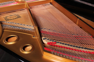 Young Chang G175 Parlor Grand Piano