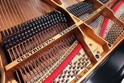 Mason & Hamlin BB Semi-Concert Grand Piano