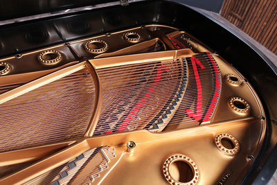 Mason & Hamlin BB Semi-Concert Grand Piano
