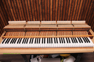 Mason & Hamlin BB Semi-Concert Grand Piano