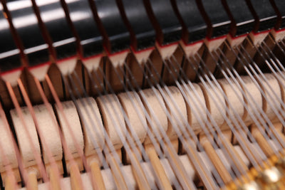 Weber WG-50 Baby Grand Piano
