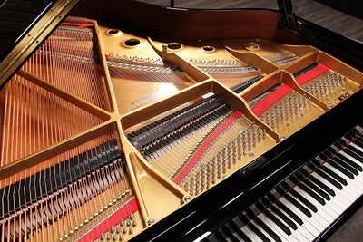 Kawai RX-2 Parlor Grand Player Piano