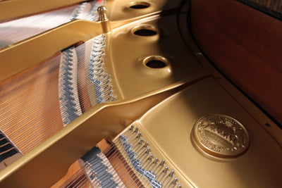 Kawai RX-2 Parlor Grand Player Piano