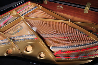 Kawai RX-2 Parlor Grand Player Piano