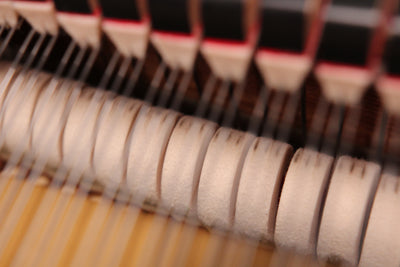 Kawai RX-2 Parlor Grand Player Piano