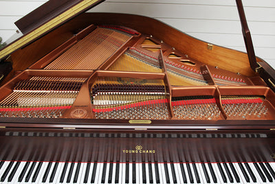 Young Chang Pramberger PG-157 Player Piano