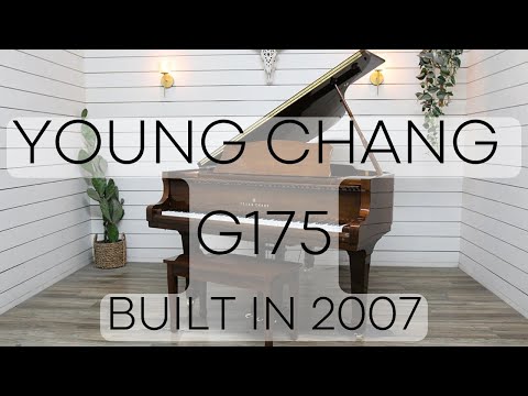 Young Chang G175 Parlor Grand Piano