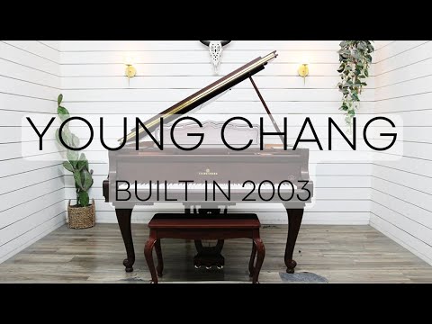 Young Chang Pramberger PG-157 Baby Grand Piano